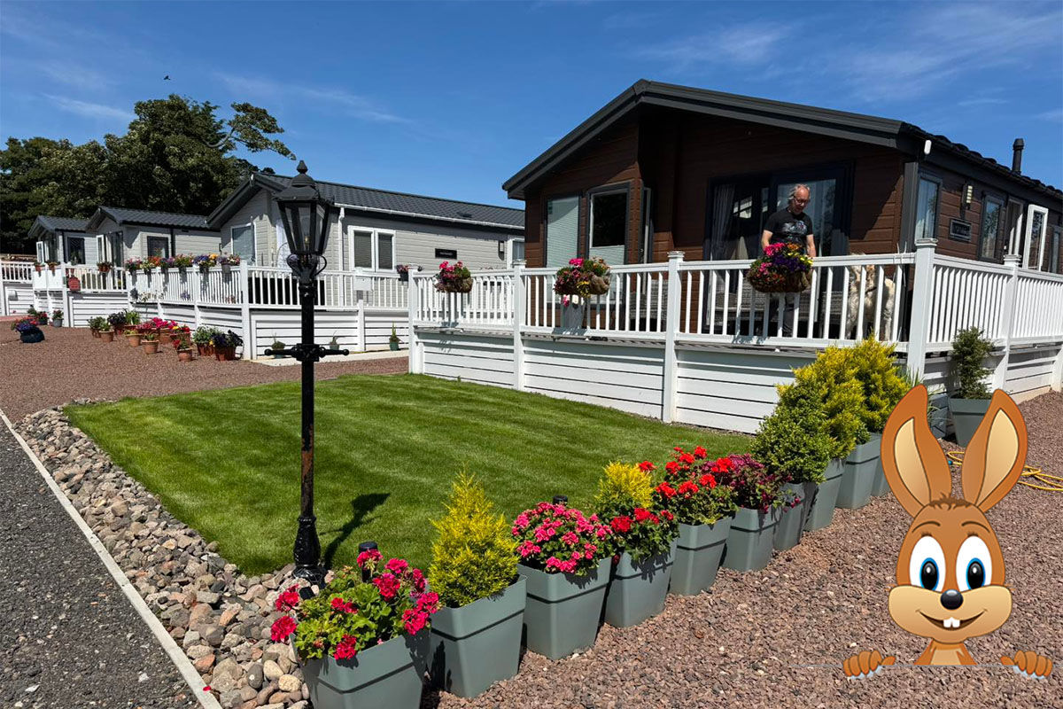 Seaton Estate's Easter bunny!