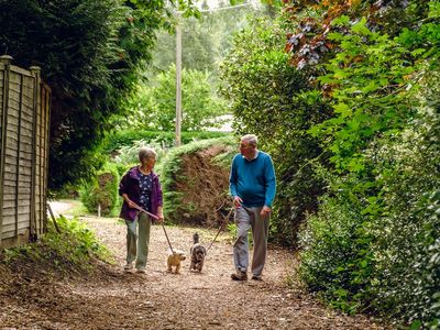 Warfield Park dog friendly