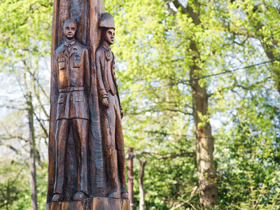 Spotlighting The Paddocks, Berkshire