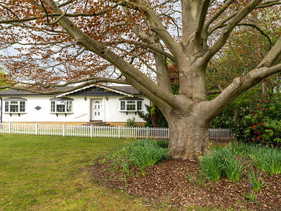 Spotlighting The Paddocks, Berkshire