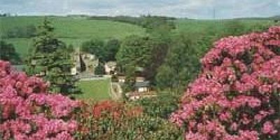 Picture of Blenkinsopp Castle Home Park, Cumbria
