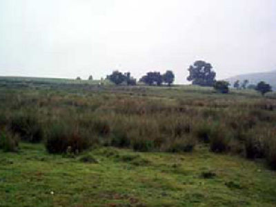Picture of Garth Fawr Farm, Conwy