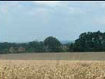 Picture of North Medburn Farm, Hertfordshire