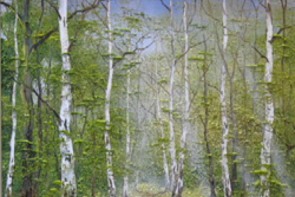 Picture of Silver Birches, Kent