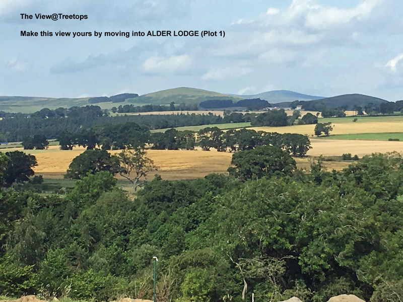 The View at Treetops Park Homes for Sale