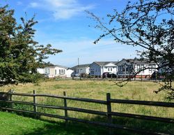 Willow Tree Farm, The Paddock